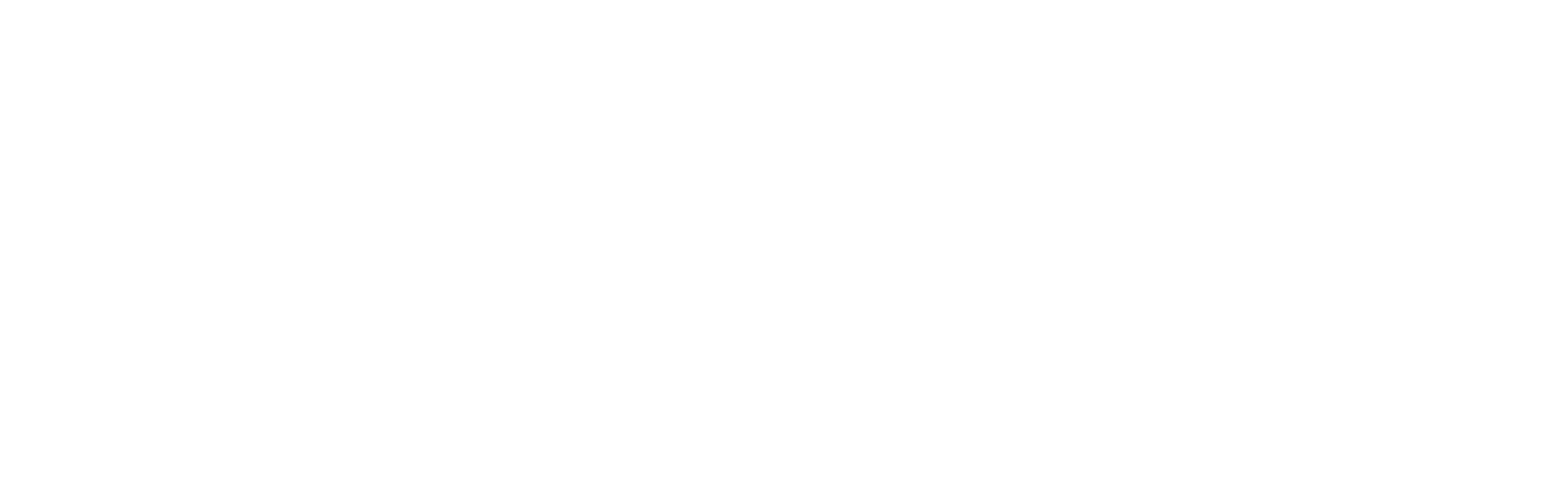 Damien DELANNOY